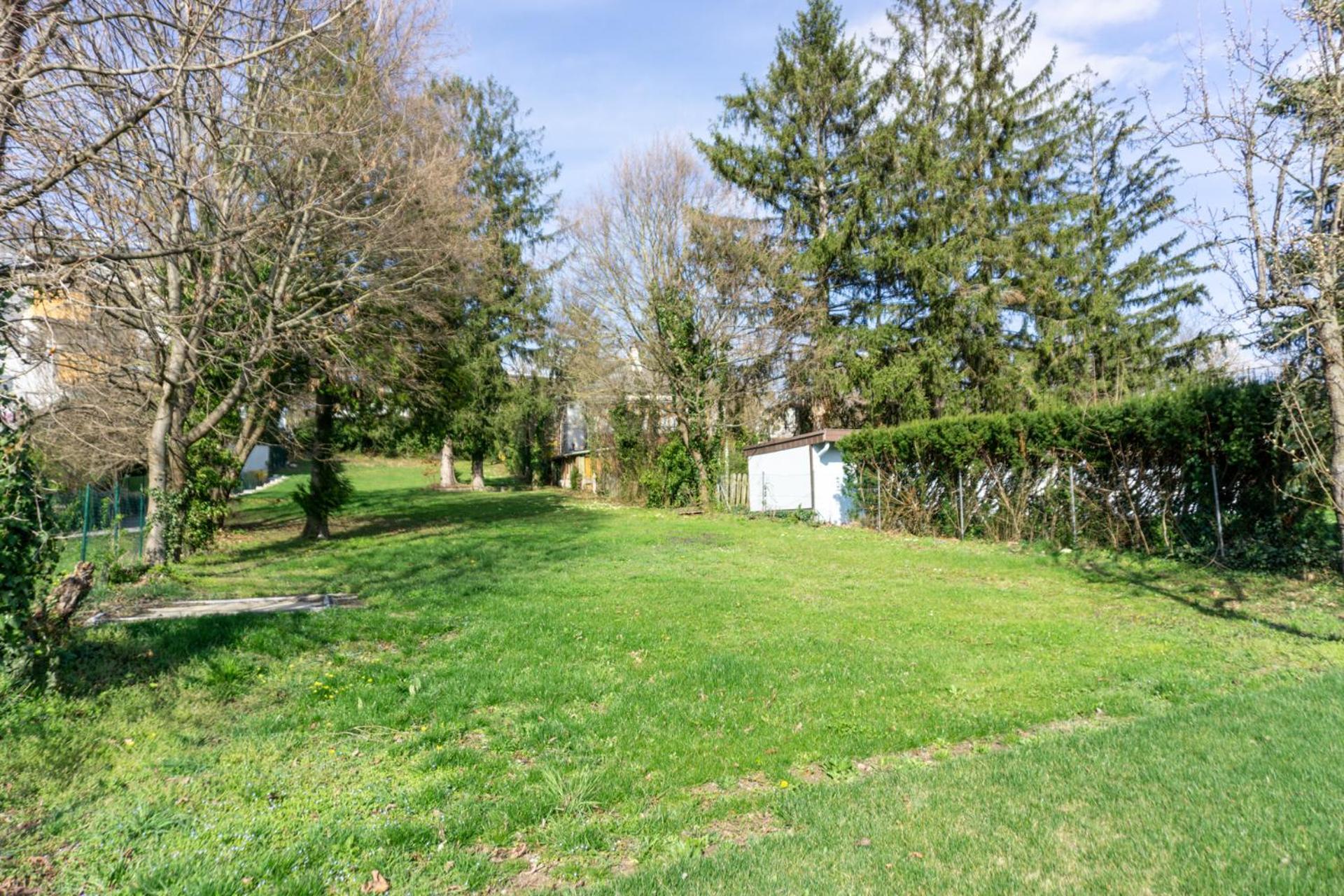 Next To Stadion, Near To Lainzer Tiergarten Apartment Viena Exterior foto